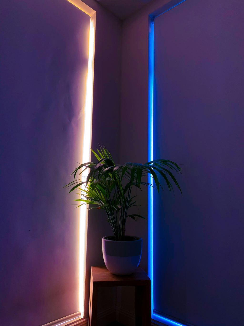 Bande LED RGB Connectée Bluetooth - 16 Millions de Couleurs | HomeNova